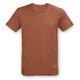 A unisex t-shirt in a burnt orange colour, featuring a simple design and a logo on the label. A unisex t-shirt in a burnt orange colour, featuring a simple design and a logo on the label.