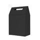 A black die cut handle bag with a top flap and a cut-out handle. The dimensions are 100x160x60mm.
