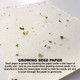A sheet of seed paper with small green sprouts emerging, featuring a textured white background and tiny seeds.