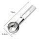 A stainless steel ice cream scoop measuring 19cm in length and 5.6cm in diameter, featuring a logo.