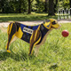 A wooden model of a police dog in yellow and black, standing on grass with a red ball nearby.