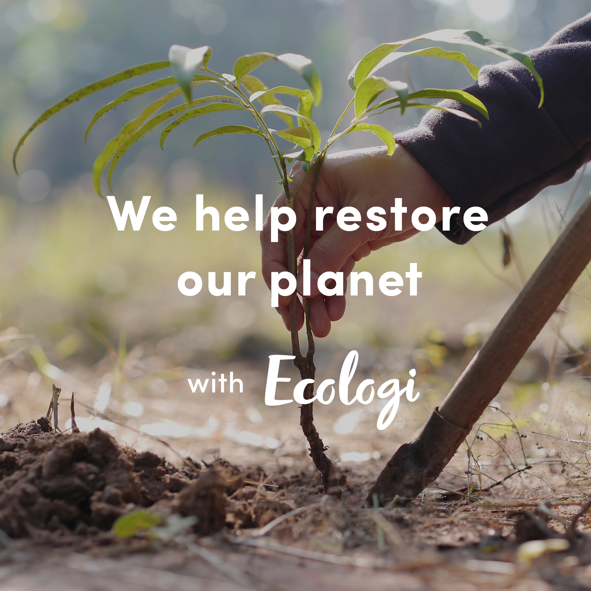 tree planting for every order 