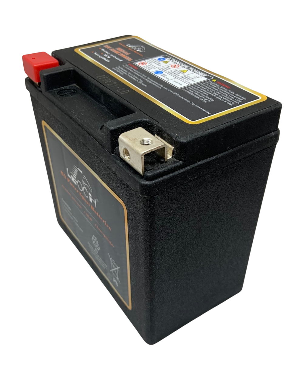 Harley Davidson 65948-00 Battery Replacement