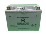 Honda CB1100EX Battery Replacement (2017-UP)