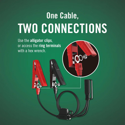 Battery Tender 022-0196 harness: one cable with alligator clips and ring terminals on a quick disconnect