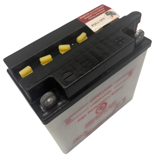 Yamaha DT125 Enduro Battery Replacement (1974-1981)