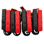 Deltran Battery Tender 4-Bank International 12V Charger