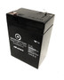 Dual-Lite 12-255 Battery