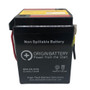 Yamaha LB80 Chappy Battery Replacement (1976-1978)