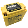 Motobatt 12V 20AH Battery | 250CCA AGM | MB16U
