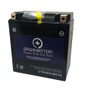 Polaris Switchback Battery Replacement (2011-2014)