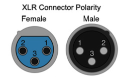 xlr-plug-detail.png