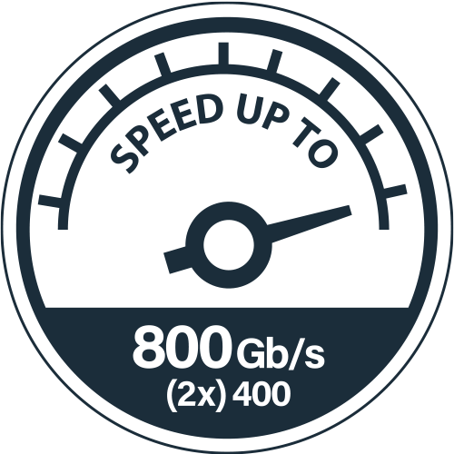 800GB/s 2x