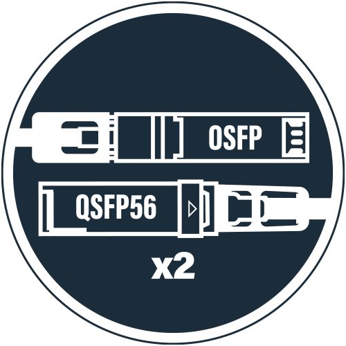OSFP to QSFP56 x2