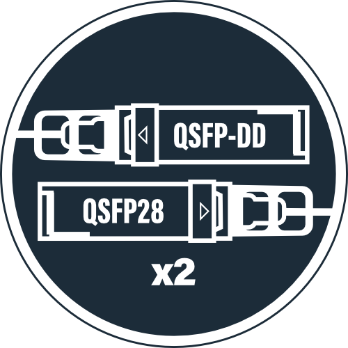 QSFP-DD to 2x QSFP28