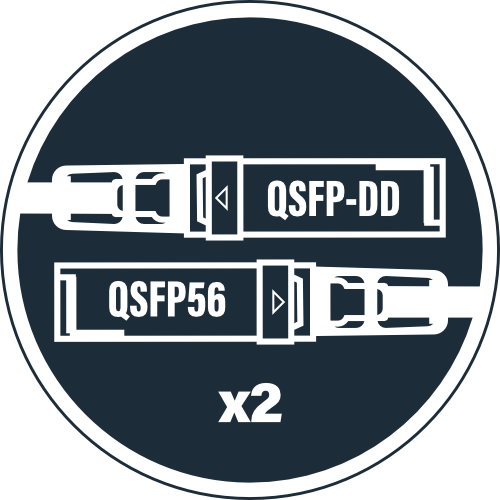 QSFP-DD to 2x QSFP56