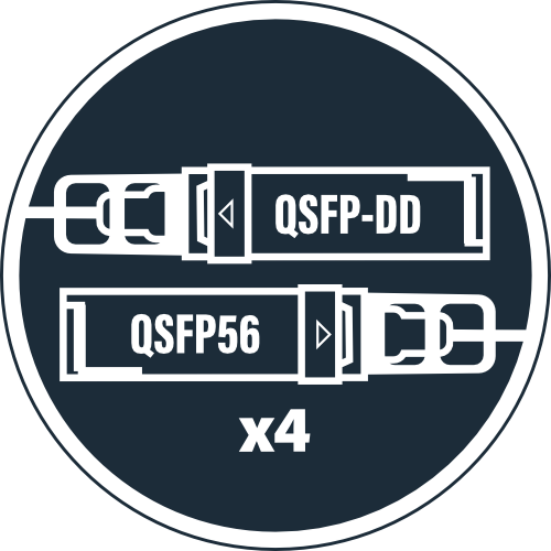 QSFP-DD to QSFP-DD