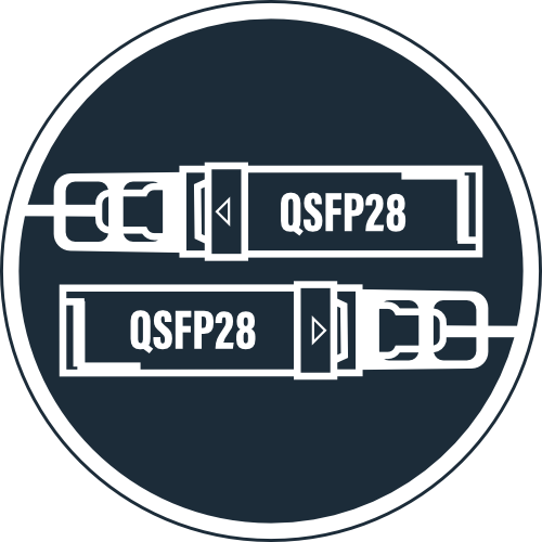 QSFP28 to QSFP28