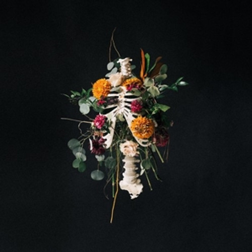 Elevation Worship: Graves Into Gardens CD