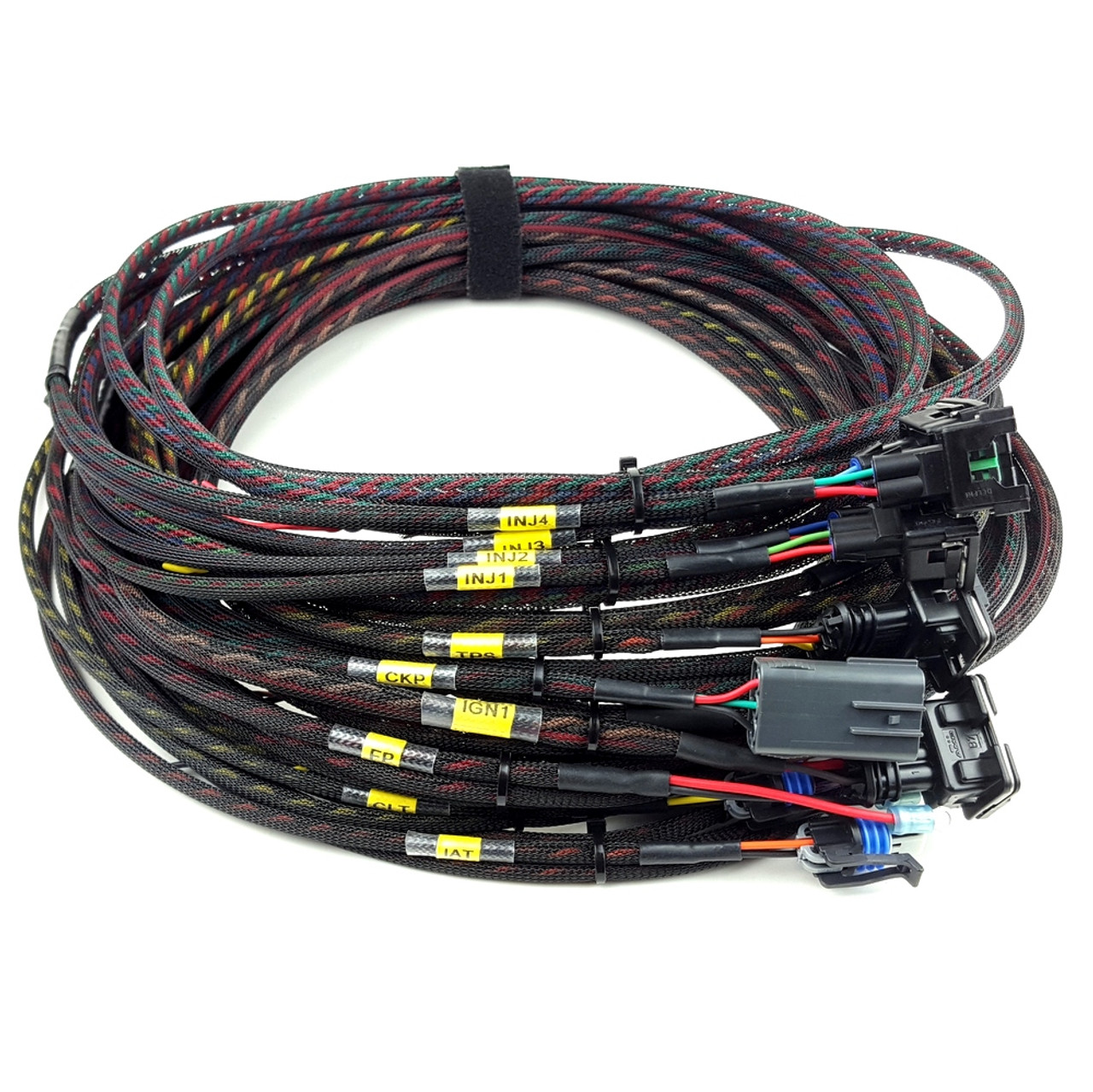 8' MegaSquirt Wiring Harness (MS1/MS2/MS3 Ready)