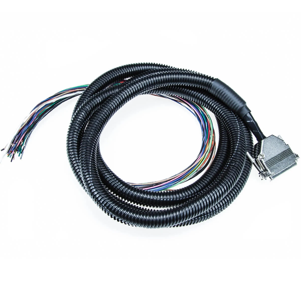 MegaSquirt Wiring Harness (MS1/MS2/MS3 Ready) - 8 foot