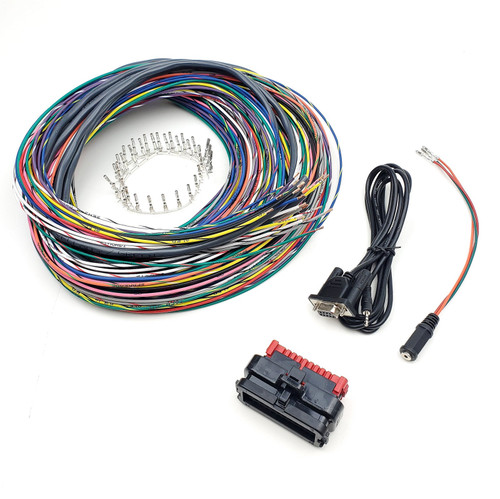 Microsquirt with DIY Harness