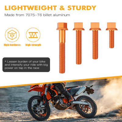 Engine Bolts Screws Kit 