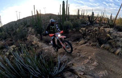Single Track At Dusk With Baja Designs Lights