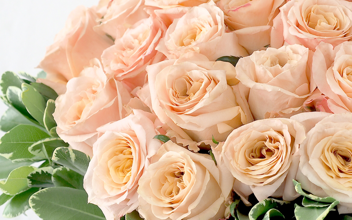 Valentine's Month Special 