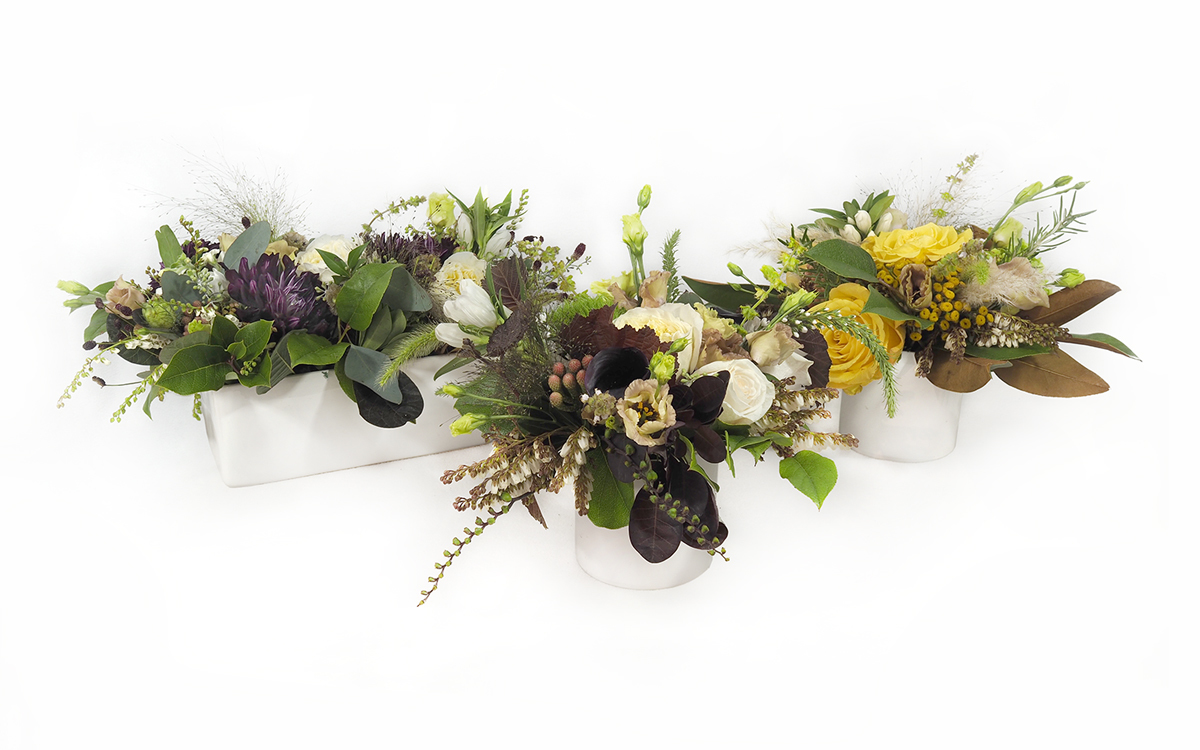 Holidays Collections