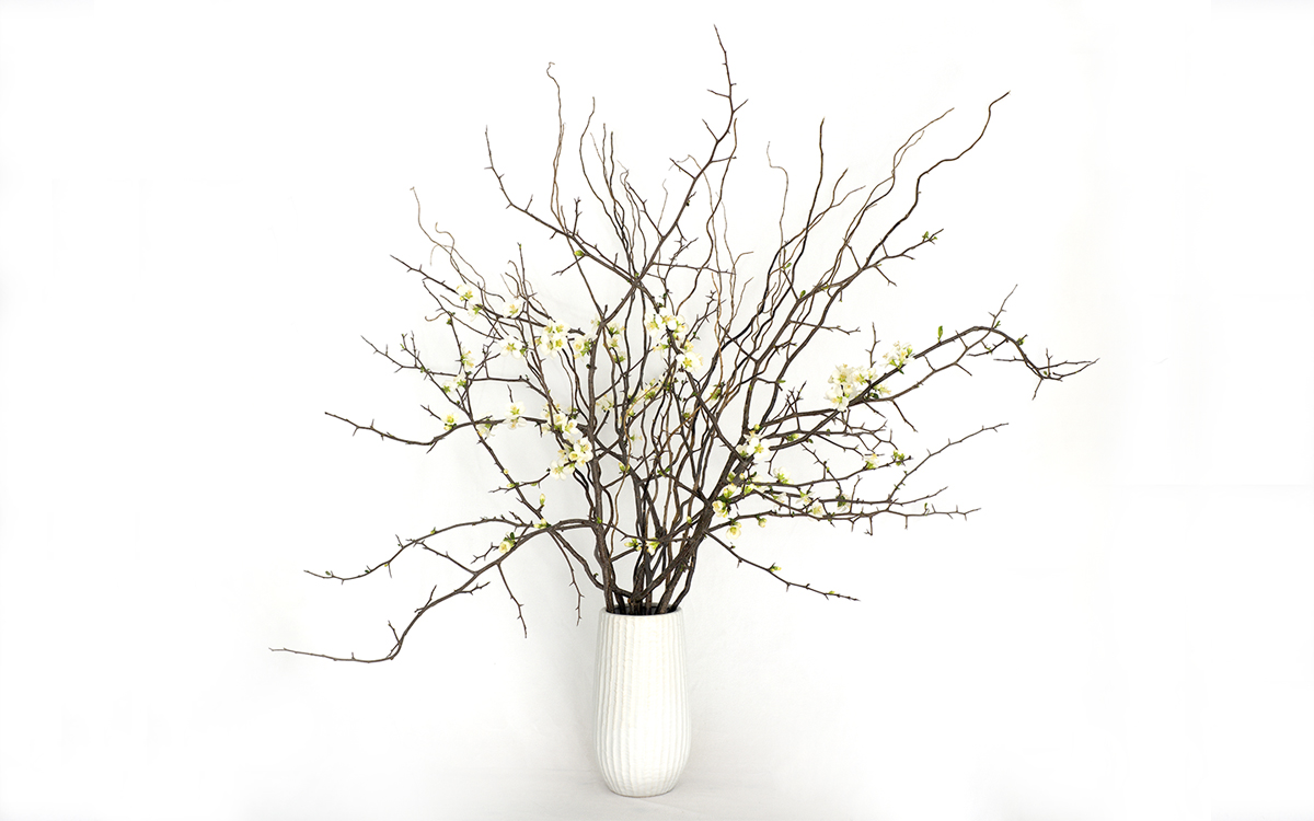 Mitaka New York Flowers Weekly Deluxe Weekly Tall Branches  Only 