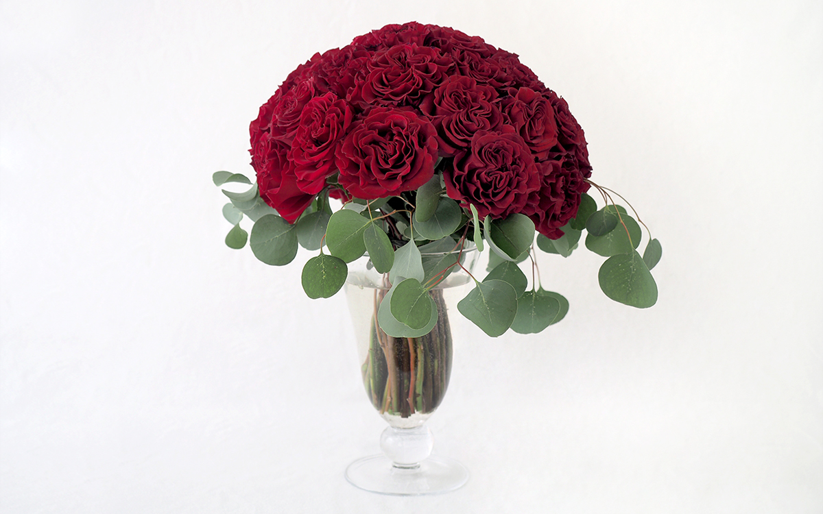 Mitaka New York Flowers Valentine’ s Special 3 dozens red roses