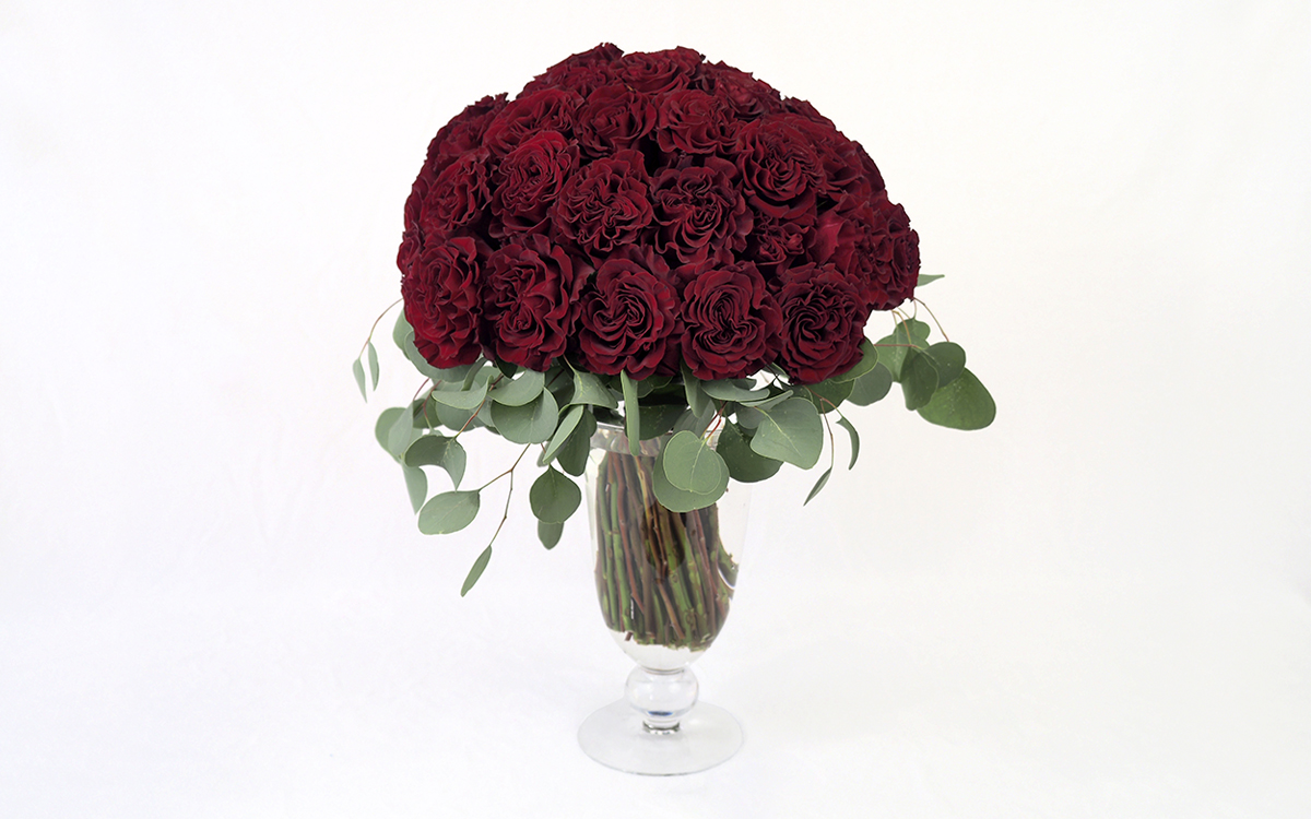 Mitaka New York Flowers Valentine’ s Special Four dozen red roses