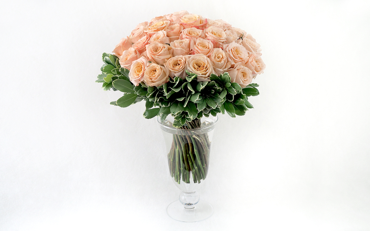 Mitaka New York Flowers Valentine’ s Special Four dozen peach roses