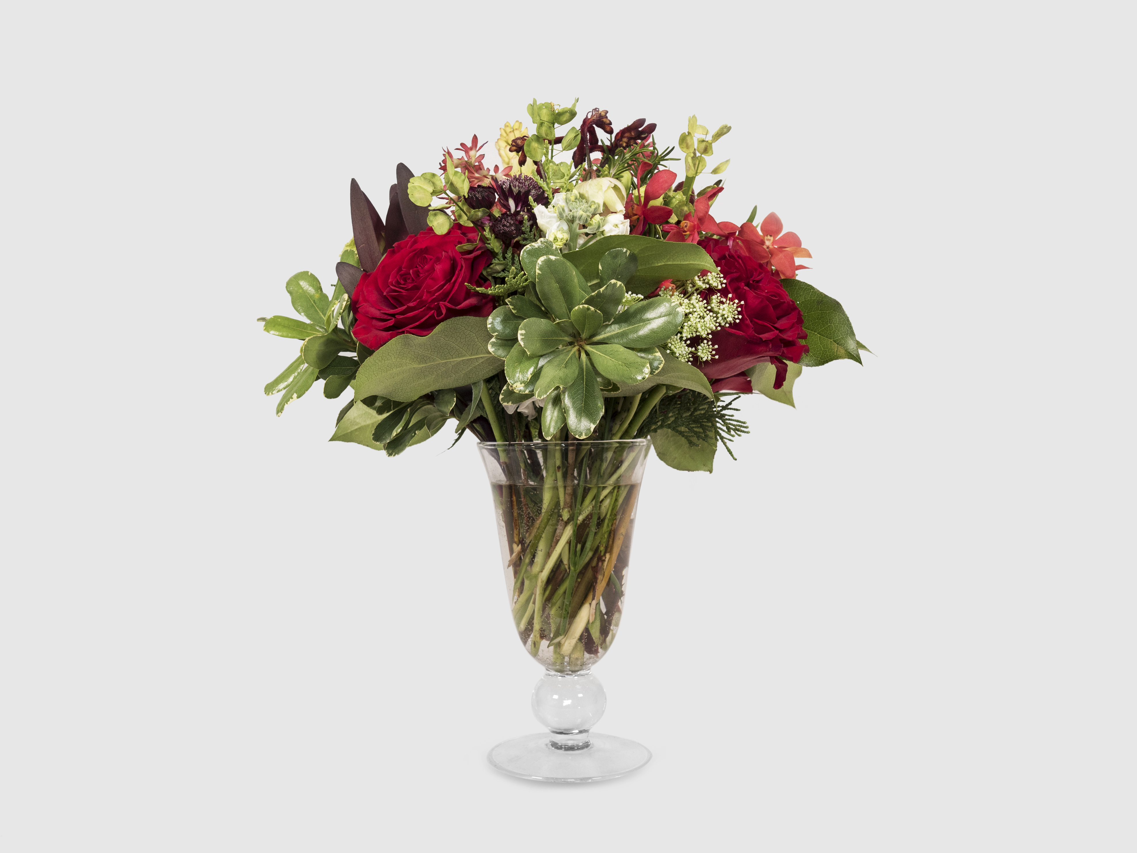 Mitaka New York Flowers Winter Collection Miniature 