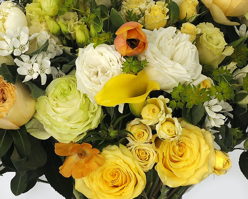 Mother's Day Collection