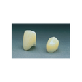 Polycarbonate Crowns  40