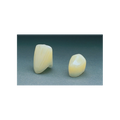 Polycarbonate Crowns  42