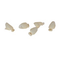 House Brand #41 1st Bicuspid Polycarbonate Crown Form, Box of 5 Crown Forms