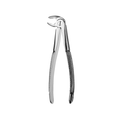 House Brand #22 lower molar universal serrated surgical forceps