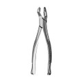 House Brand #53R SG (serrated) upper 1st and 2nd molar-right with bayonet pattern