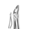 X-Trac Forceps Upper Universal, Beveled Beaks