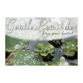 A Fresh Reminder Postcards Lily Pads Postcard, 250/Box