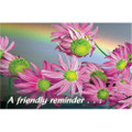 A Friendly Reminder Postcard Flowers, Postcard, 250/Pkg.
