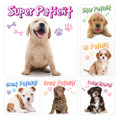 Puppy and Kitten Patient Stickers Puppy Patient Stickers, PS647, 100/Roll