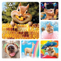 Kids Stickers Avanti 100/Box
