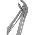 Stainless Steel Extraction Forceps #MD3