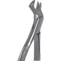 Stainless Steel Extraction Forceps, , #13 English