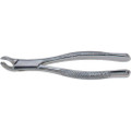 Stainless Steel Extraction Forceps #17