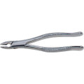 Stainless Steel Extraction Forceps #1, Straight Handle